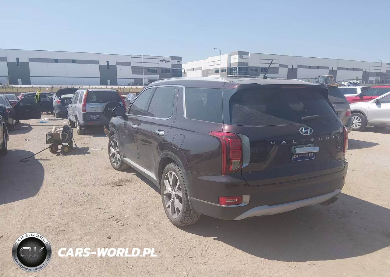2020 Hyundai Palisade Sel VIN:KM8R34HEXLU160966 - 3