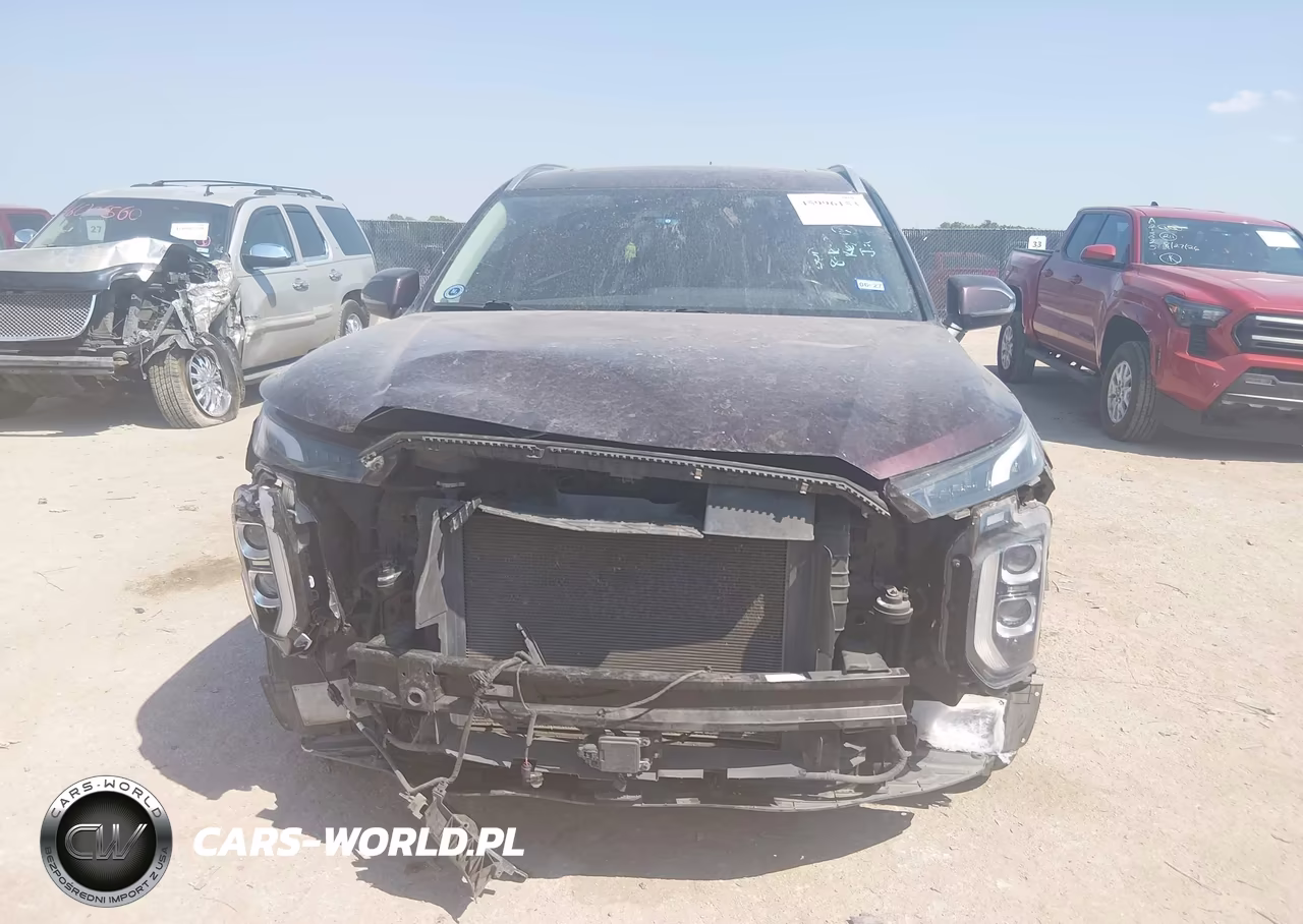 2020 Hyundai Palisade Sel VIN:KM8R34HEXLU160966 - 6