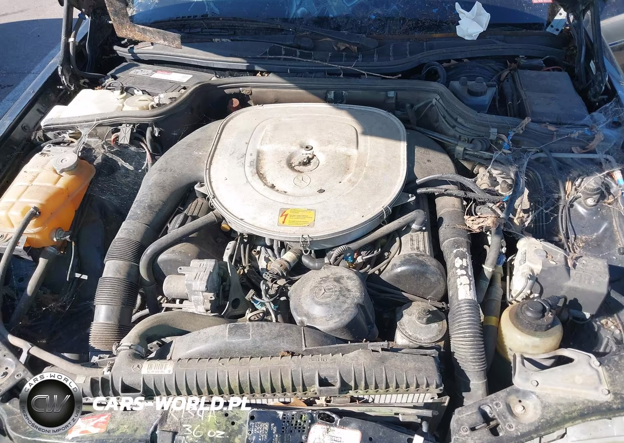 1990 Mercedes-Benz 560 Sel VIN:WDBCA39E4LA552348 - 10