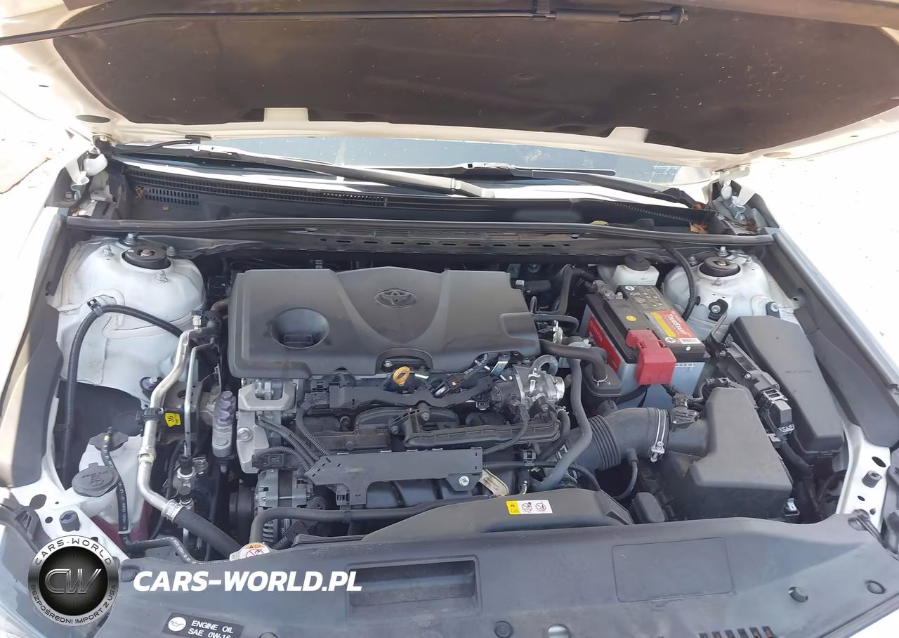 2021 Toyota Camry Le VIN:4T1C11AK3MU498124 - 10
