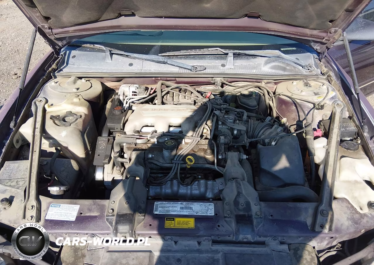 1998 Chevrolet Lumina VIN:2G1WL52M0W9247069 - 10
