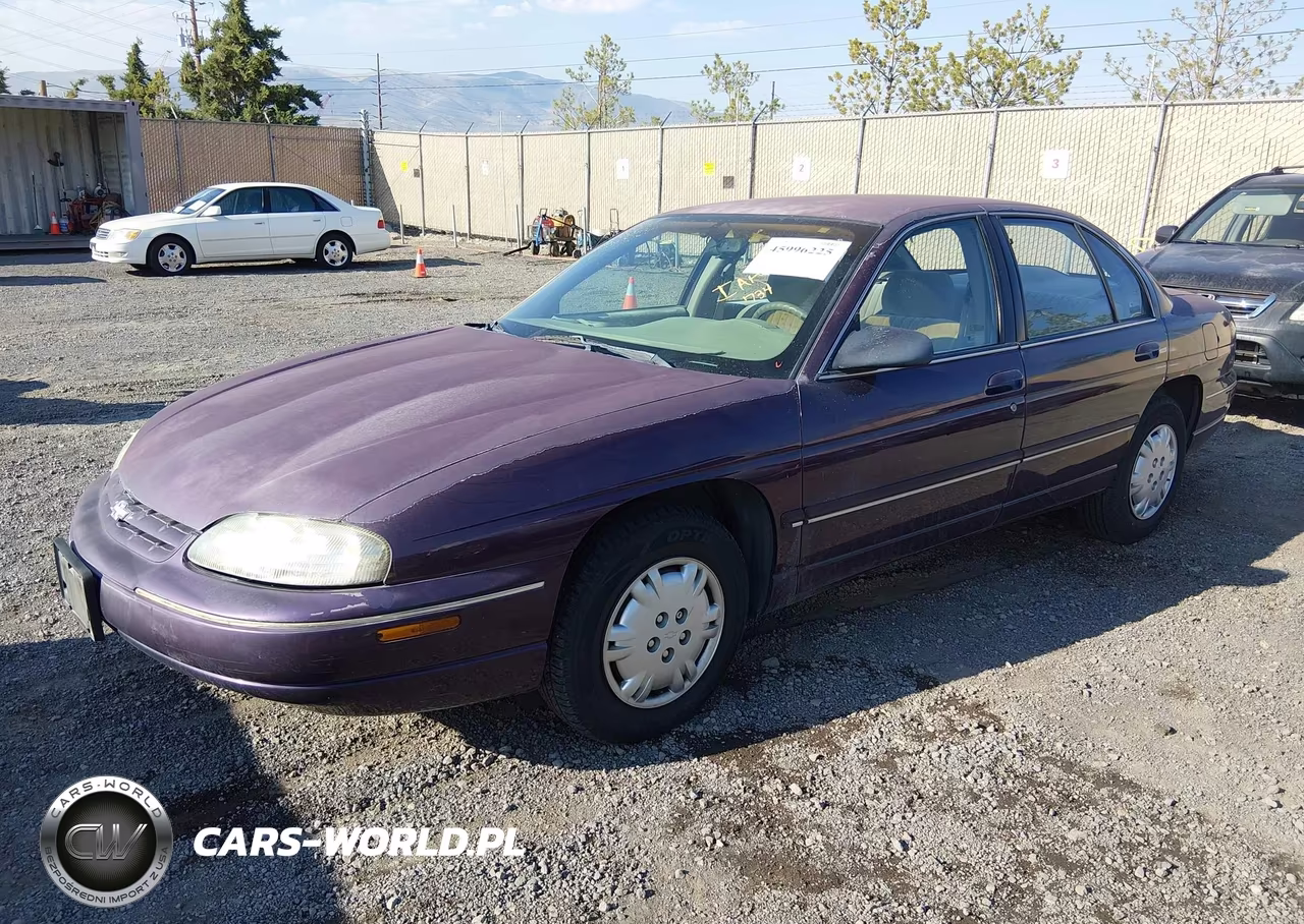 1998 Chevrolet Lumina VIN:2G1WL52M0W9247069 - 2