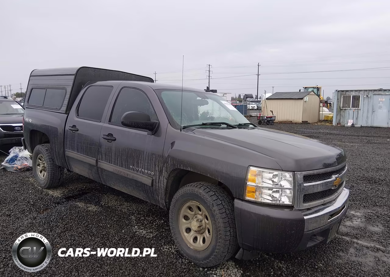 2010 Chevrolet Silverado 1500 Ls
