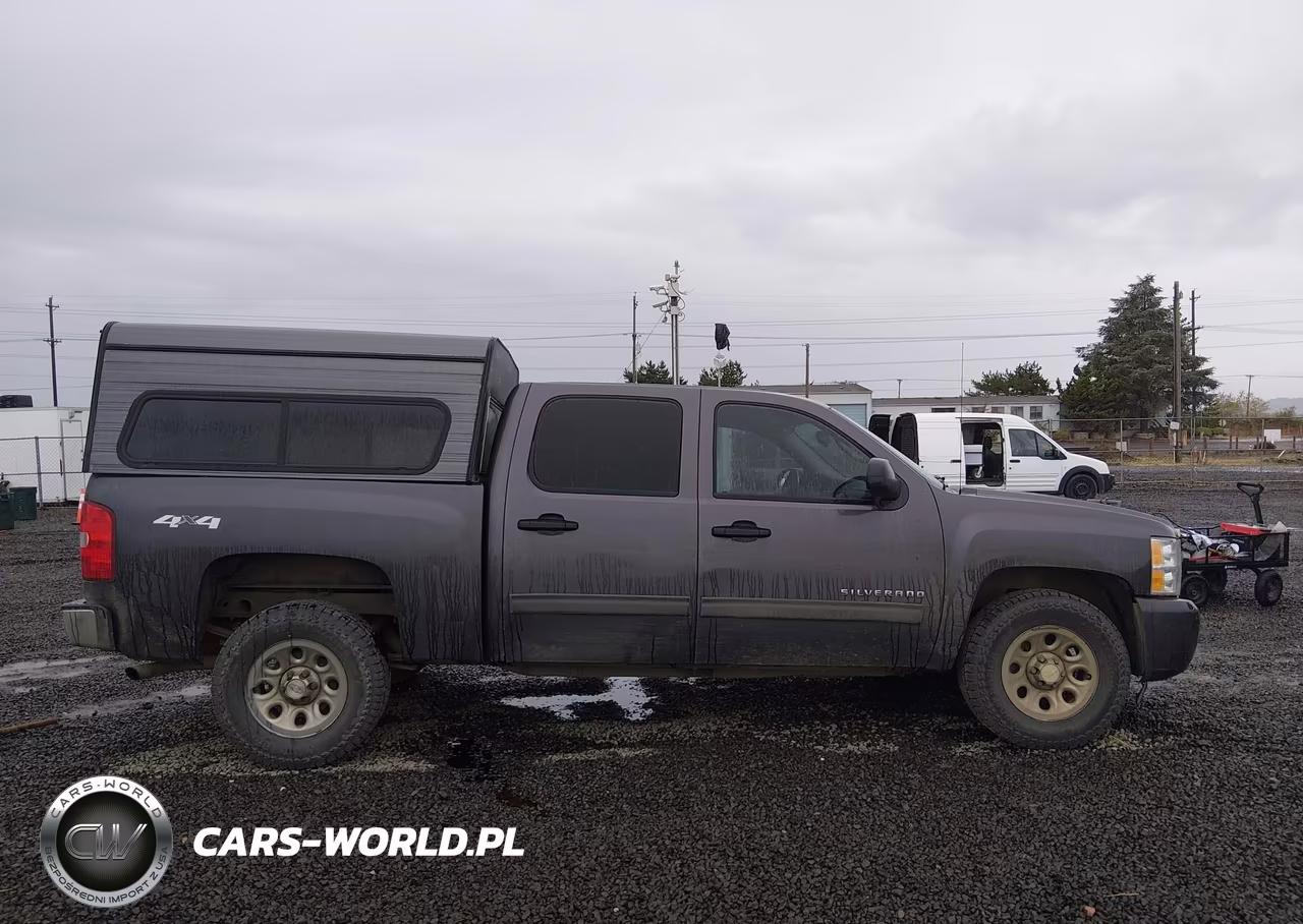 2010 Chevrolet Silverado 1500 Ls VIN:3GCRKREA3AG154724 - 13