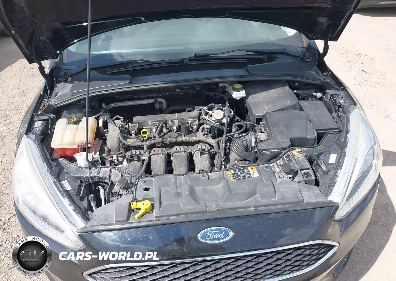 2018 Ford Focus Se VIN:1FADP3F22JL315900 - 10