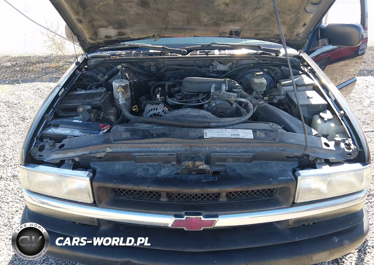 1999 Chevrolet S-10 Ls VIN:1GCCT14W3XK185250 - 10