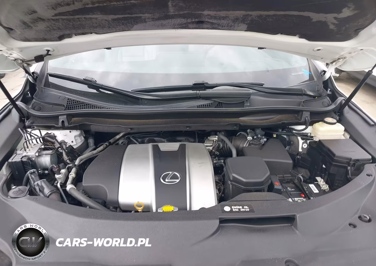 2016 Lexus Rx 350 F Sport VIN:2T2BZMCA4GC042032 - 10