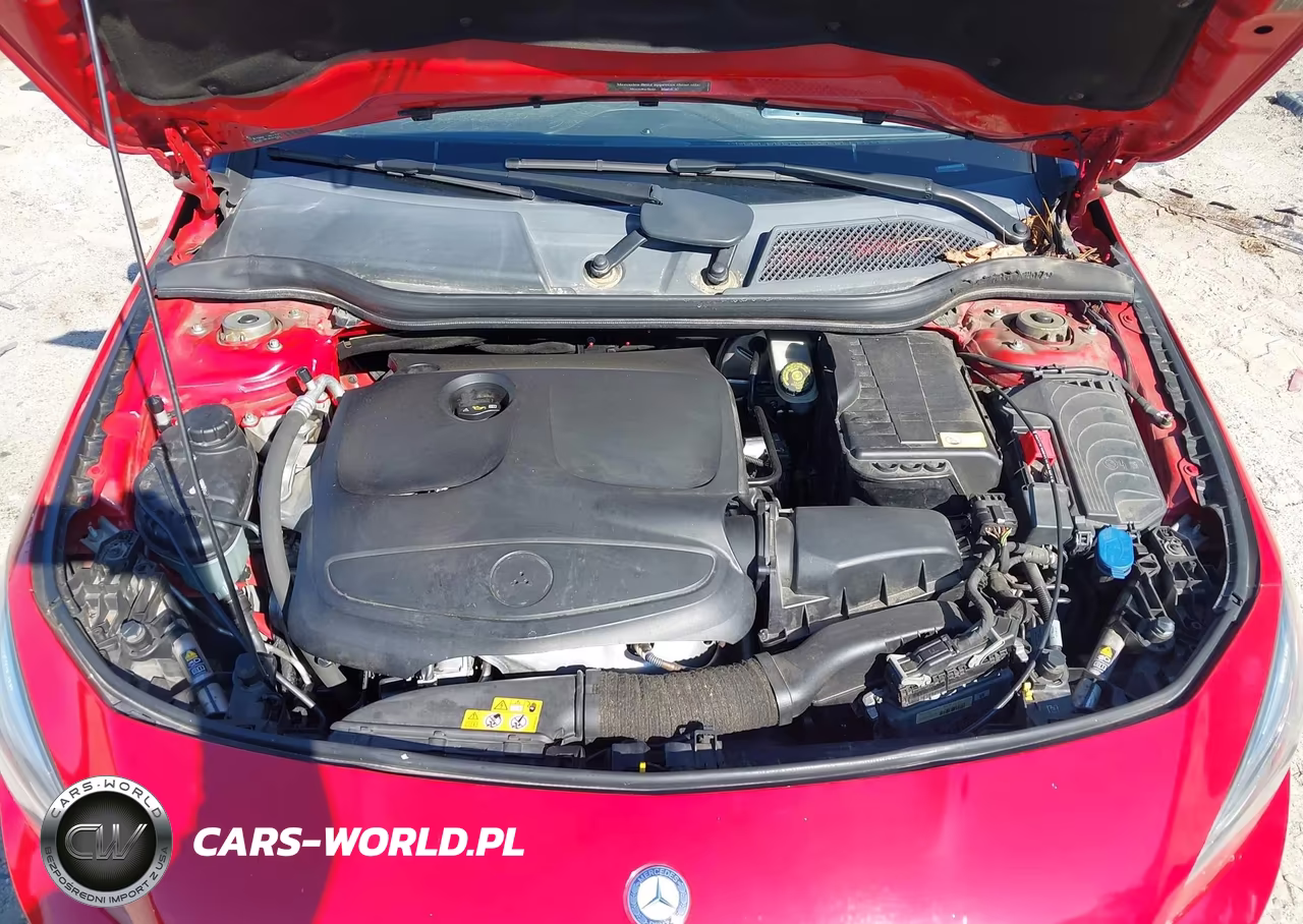 2014 Mercedes-Benz Cla 250 VIN:WDDSJ4EB2EN043312 - 10