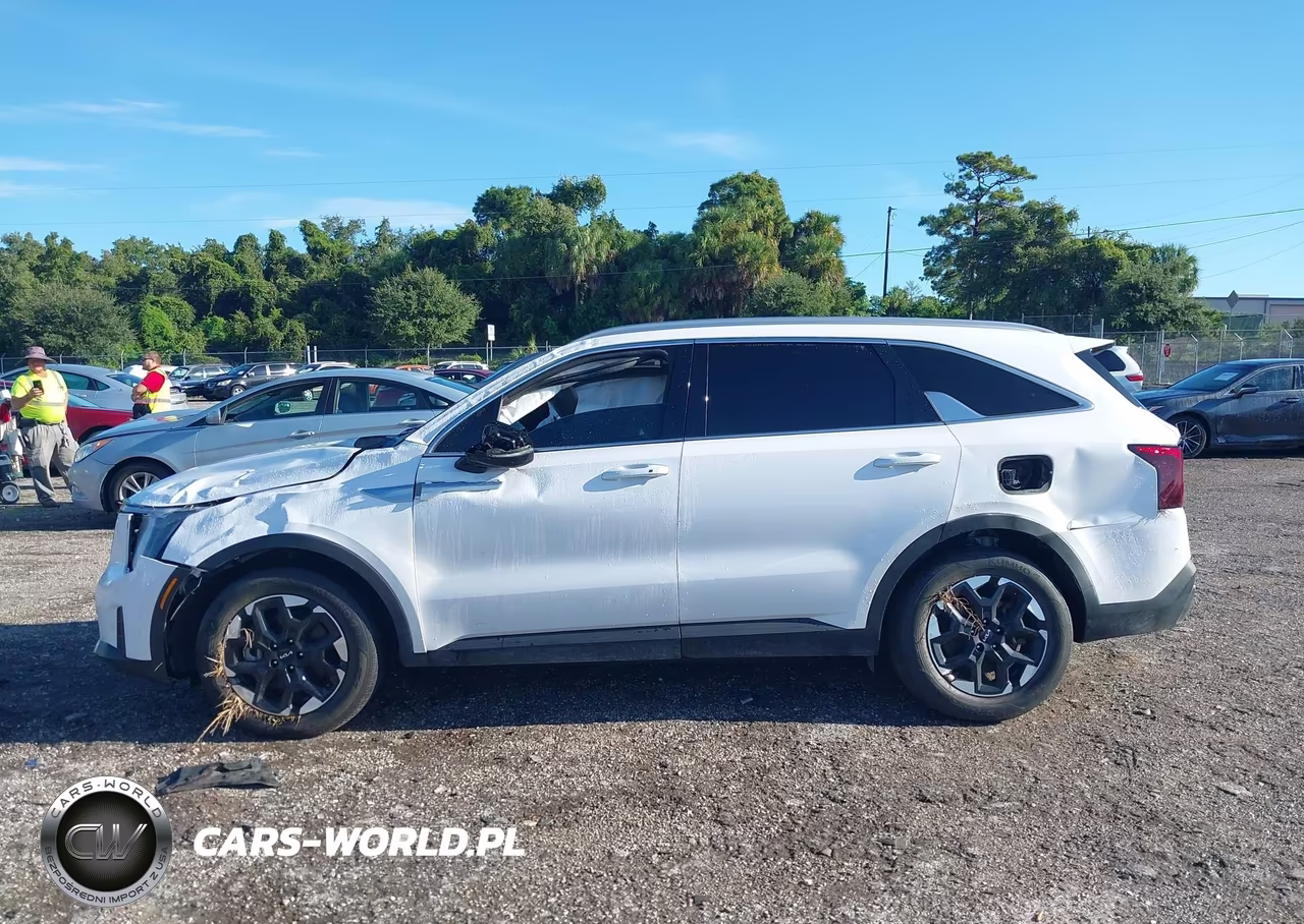 2024 Kia Sorento S VIN:5XYRL4JC5RG289348 - 14