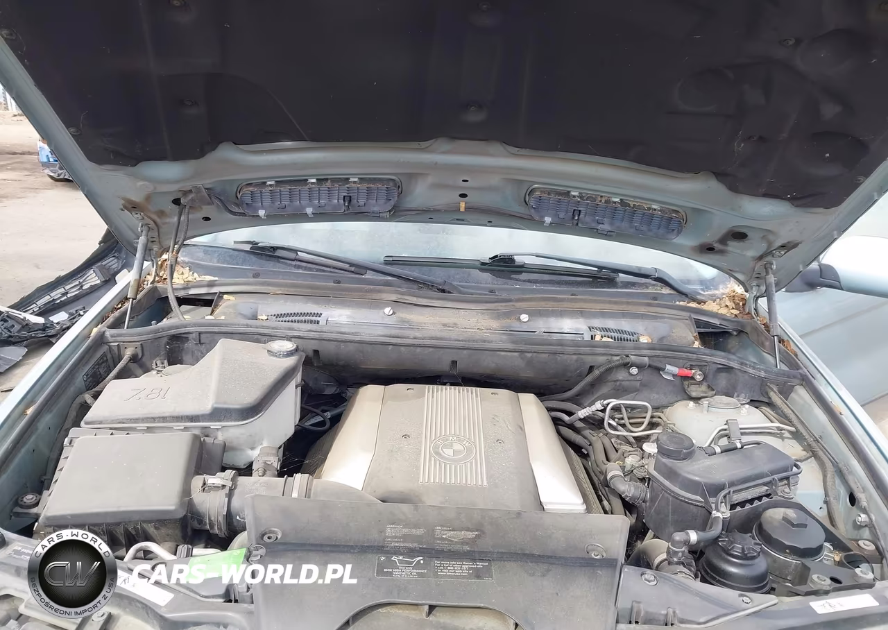 2002 BMW X5 4.4I VIN:5UXFB33592LH39173 - 10