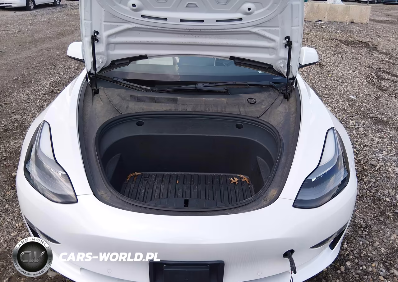 2022 Tesla Model 3 Long Range Dual Motor All-Wheel Drive VIN:5YJ3E1EB3NF247911 - 10