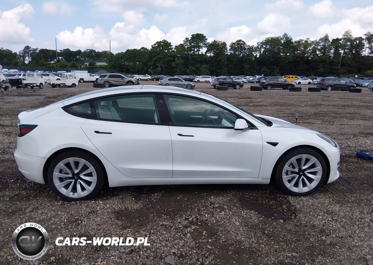 2022 Tesla Model 3 Long Range Dual Motor All-Wheel Drive VIN:5YJ3E1EB3NF247911 - 13