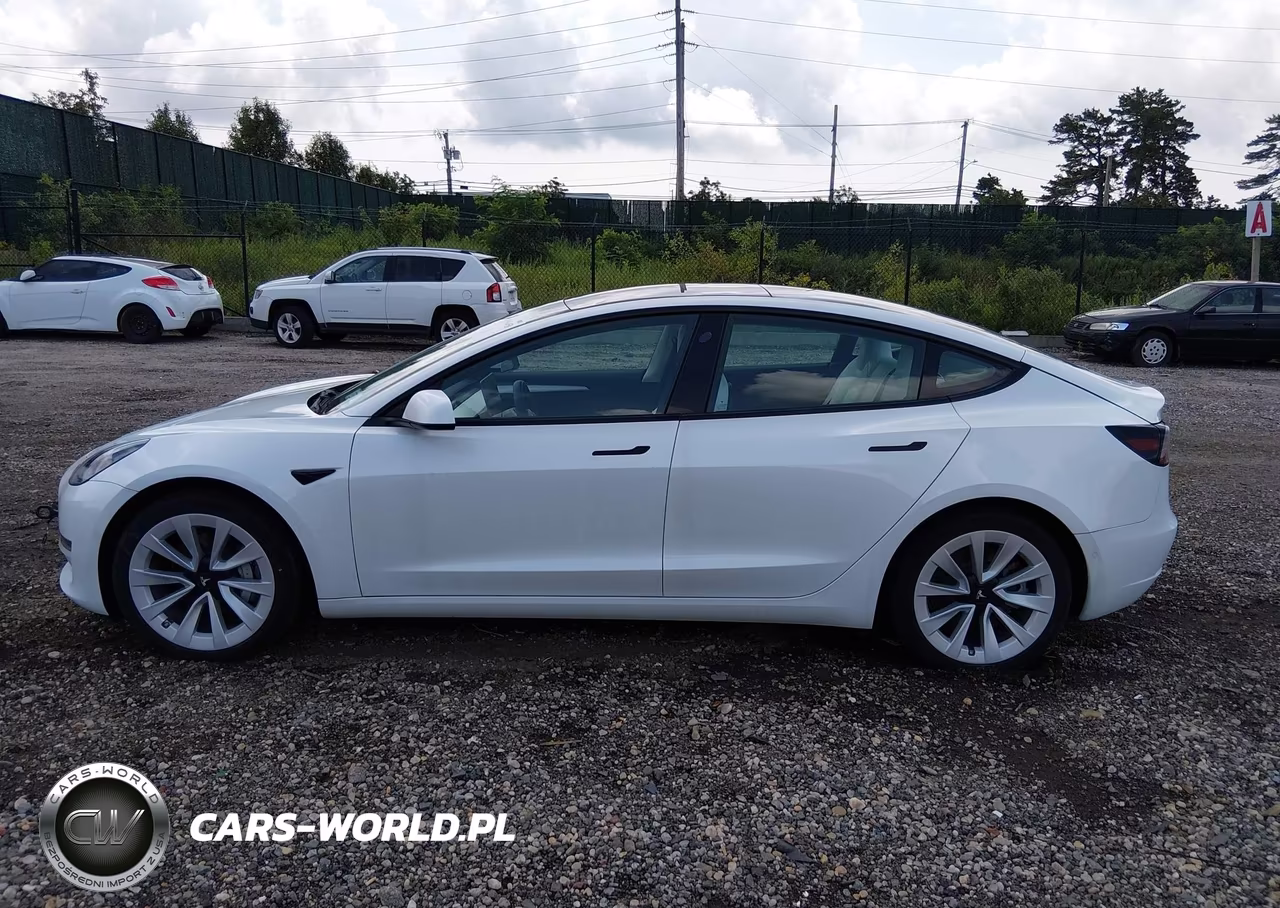 2022 Tesla Model 3 Long Range Dual Motor All-Wheel Drive VIN:5YJ3E1EB3NF247911 - 14