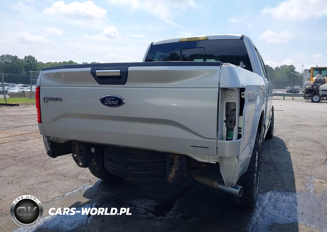2015 Ford F-150 Xlt VIN:1FTEW1EF5FKE62073 - 17