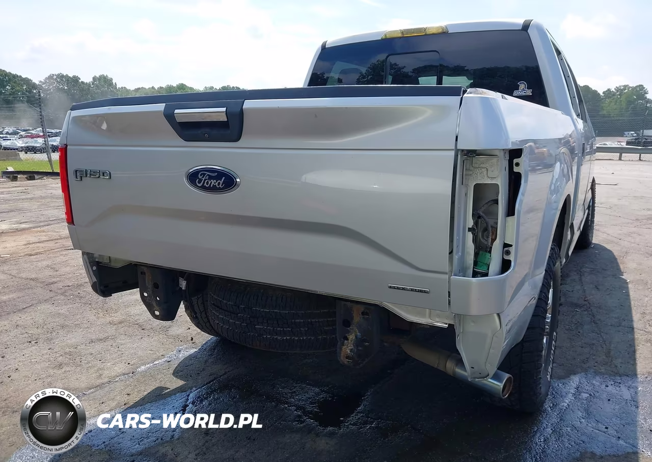 2015 Ford F-150 Xlt VIN:1FTEW1EF5FKE62073 - 18