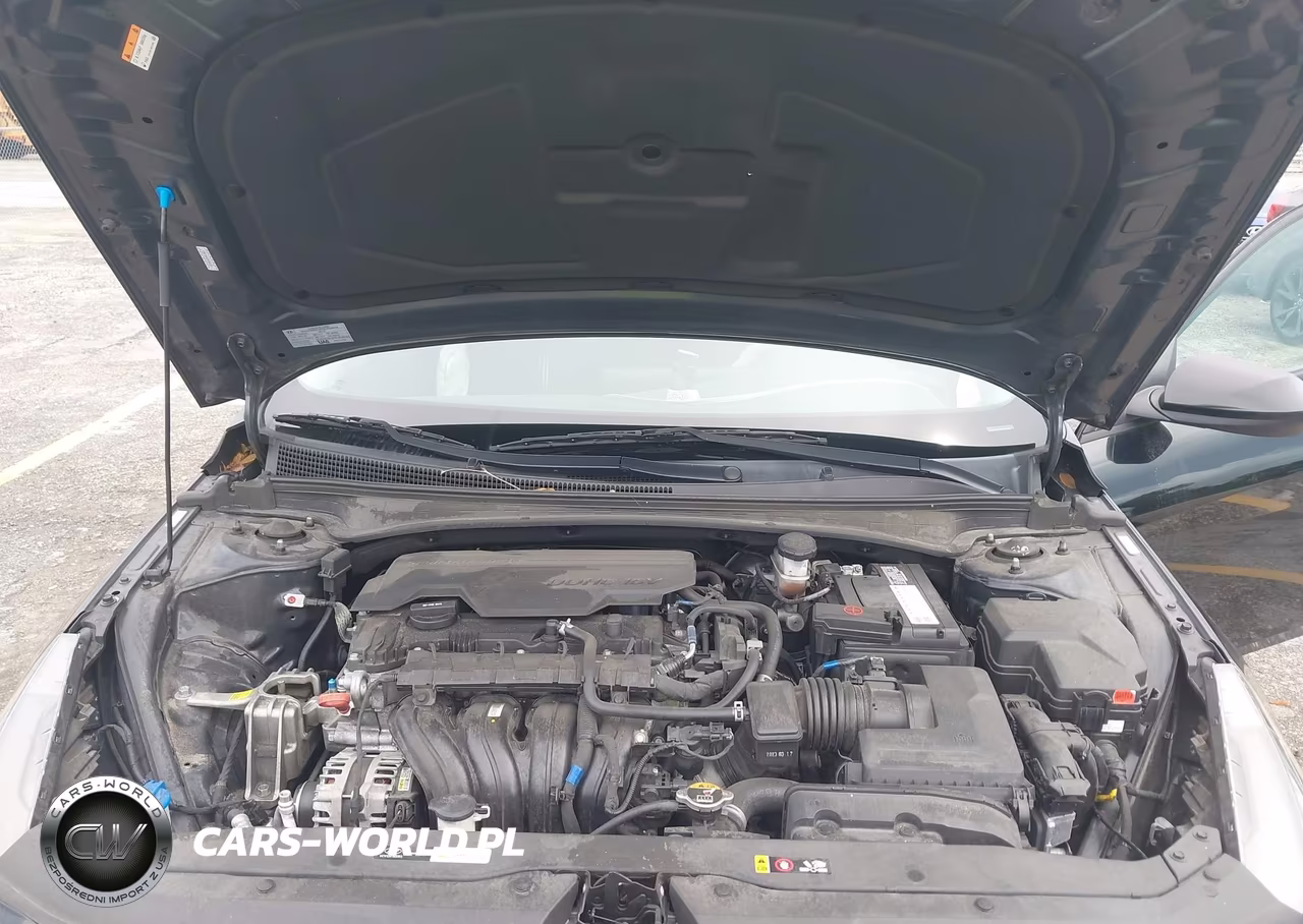 2023 Hyundai Elantra Sel VIN:KMHLS4AG4PU556224 - 10