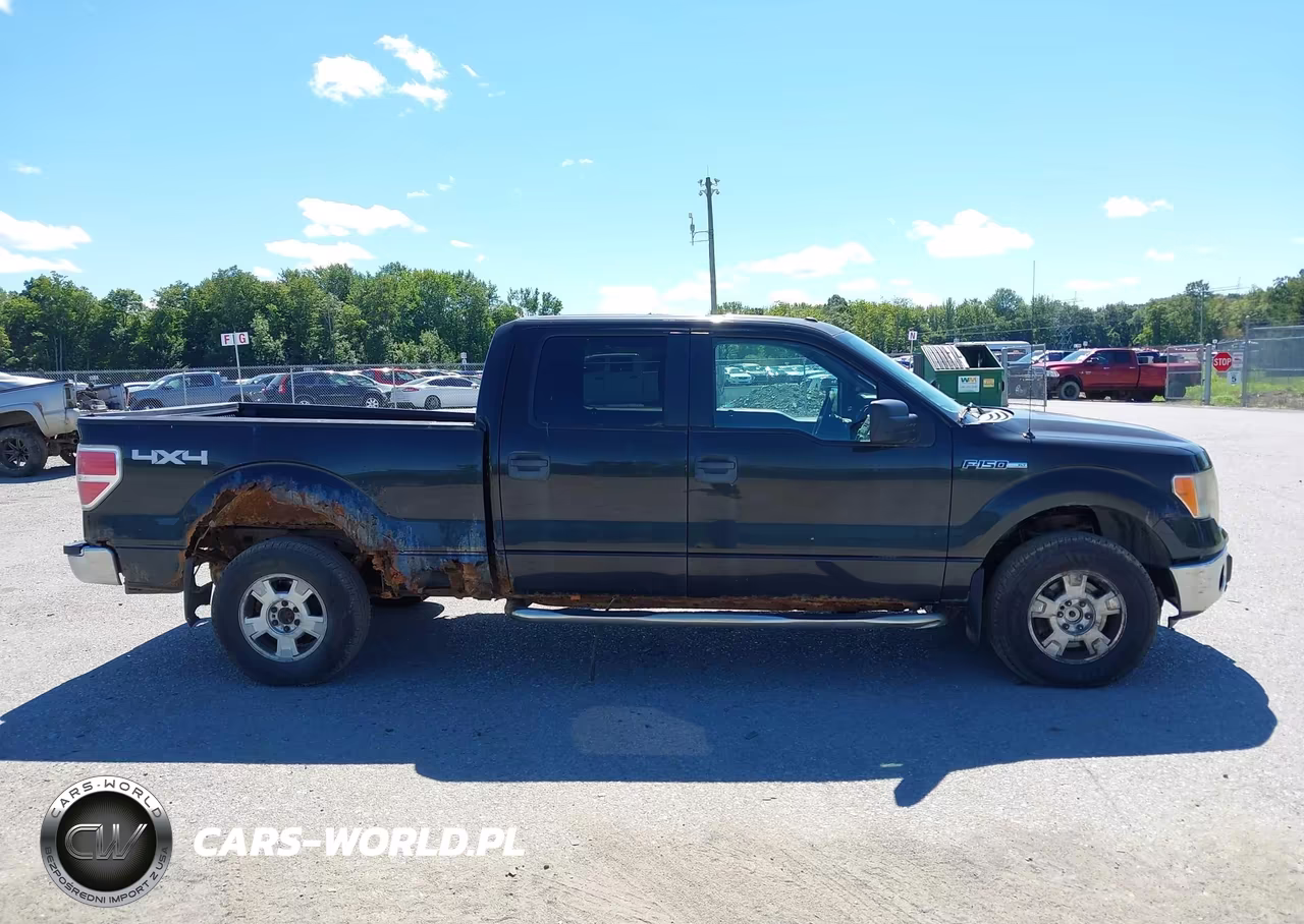2013 Ford F-150 Xlt VIN:1FTFW1EF1DFC07012 - 13