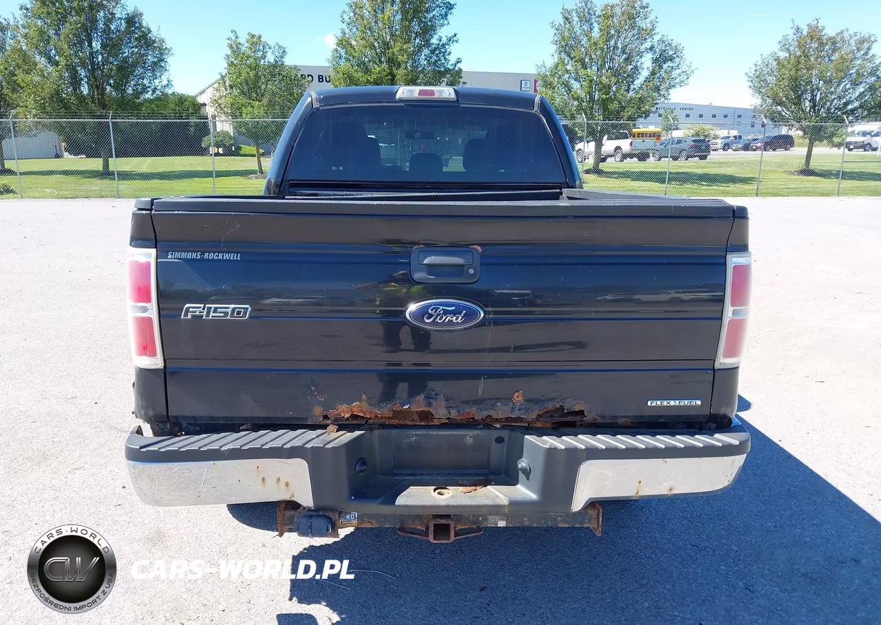 2013 Ford F-150 Xlt VIN:1FTFW1EF1DFC07012 - 16