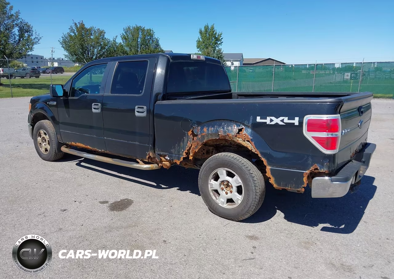 2013 Ford F-150 Xlt VIN:1FTFW1EF1DFC07012 - 3