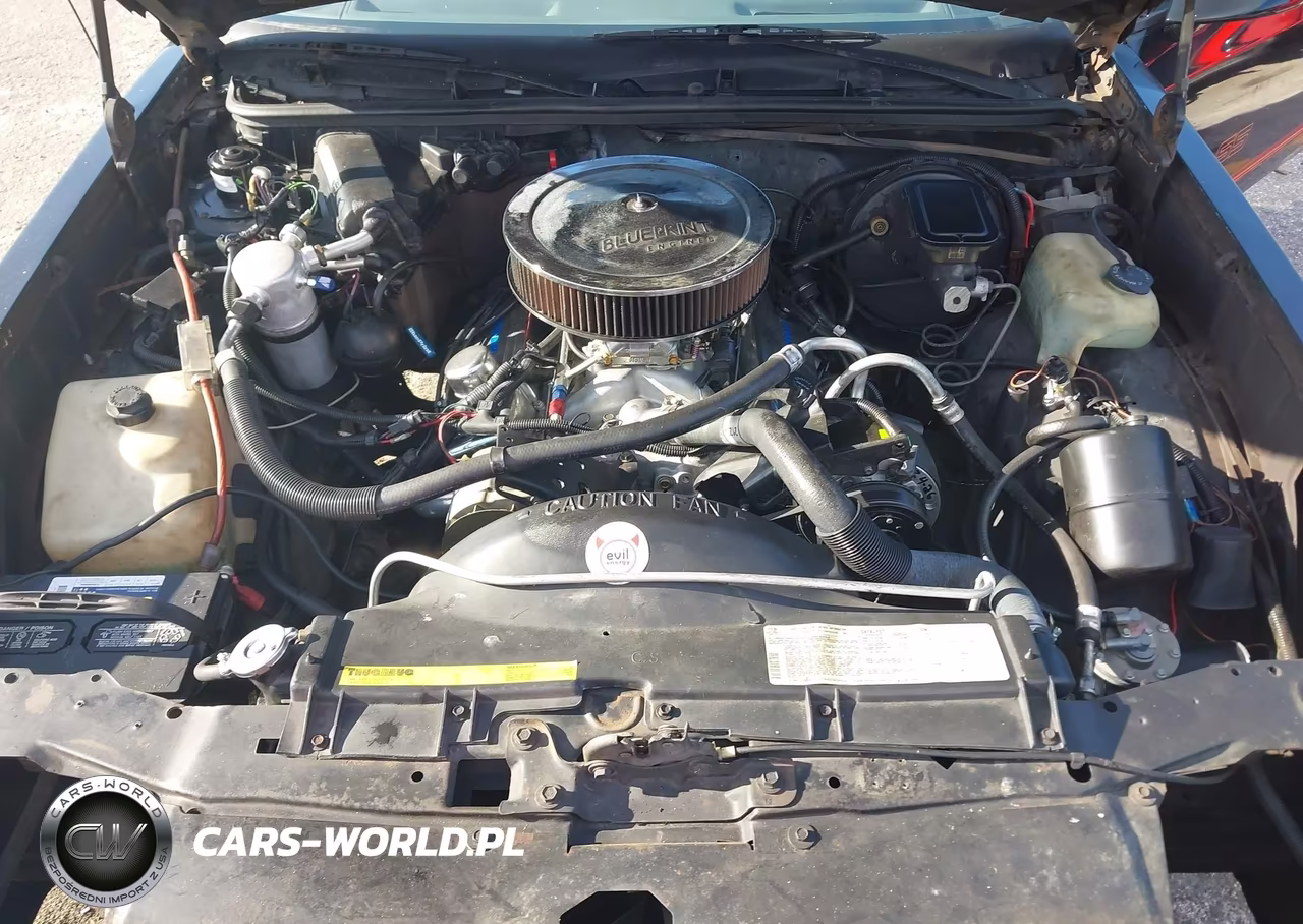1986 Chevrolet Monte Carlo VIN:1G1GZ37G5GR187405 - 10