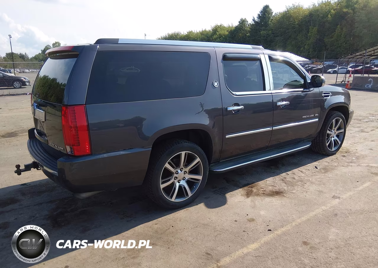 2011 Cadillac Escalade Esv Luxury VIN:1GYS4HEF2BR254066 - 4