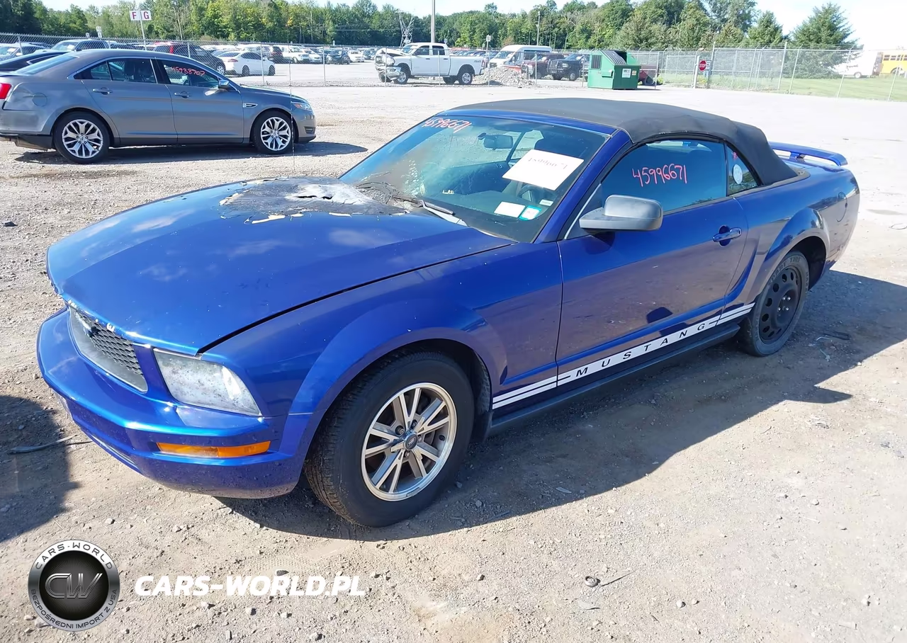 2005 Ford Mustang VIN:1ZVFT84N455178734 - 2