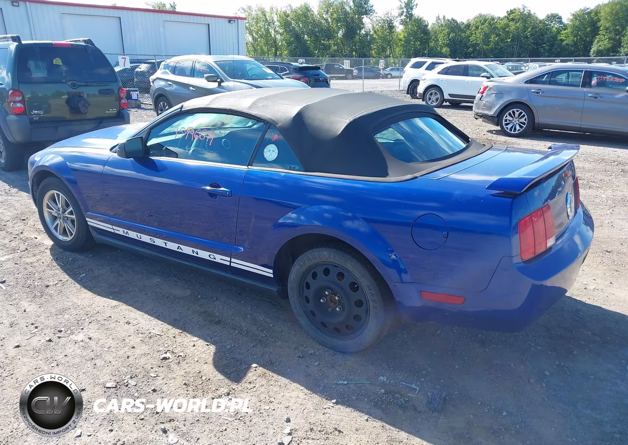 2005 Ford Mustang VIN:1ZVFT84N455178734 - 3