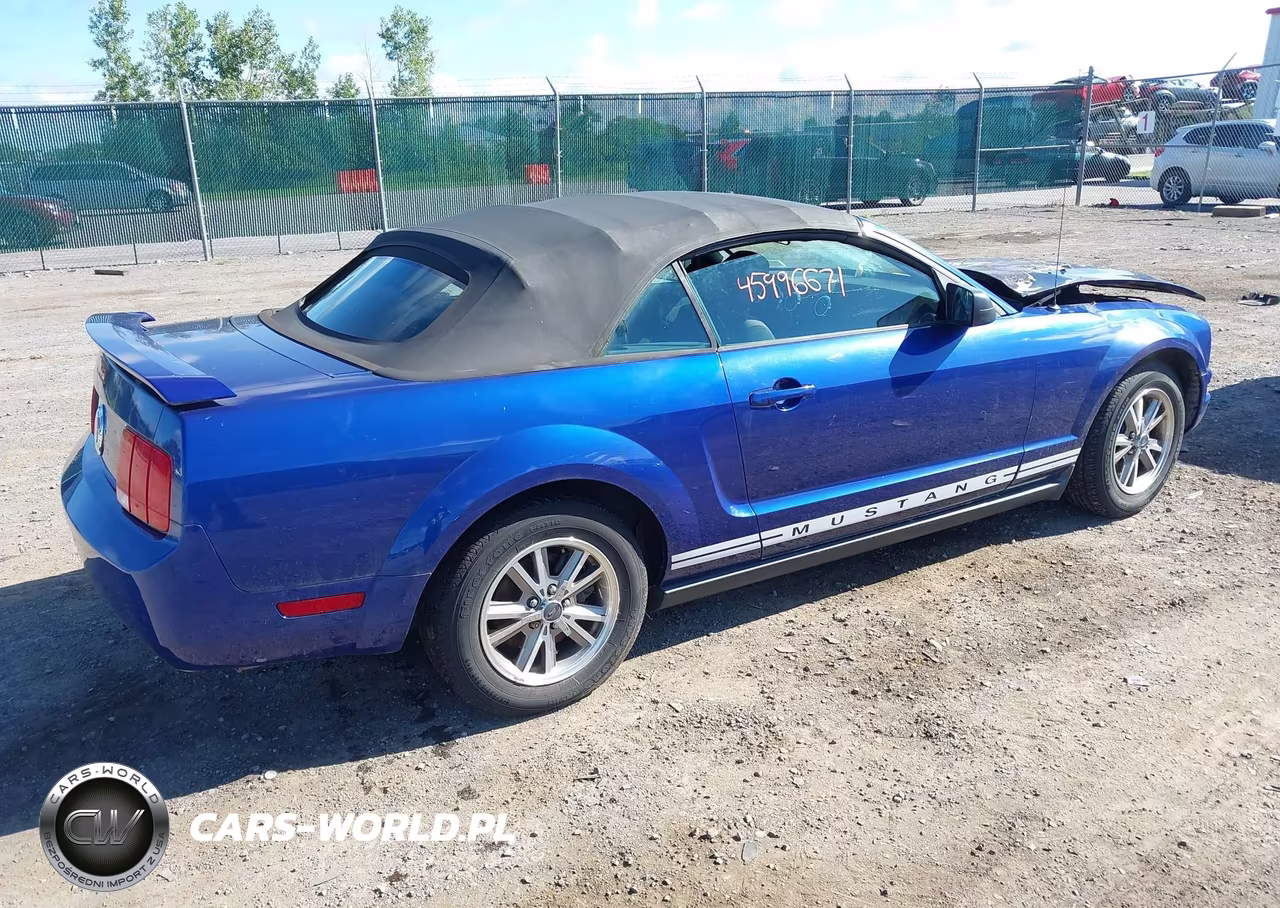 2005 Ford Mustang VIN:1ZVFT84N455178734 - 4