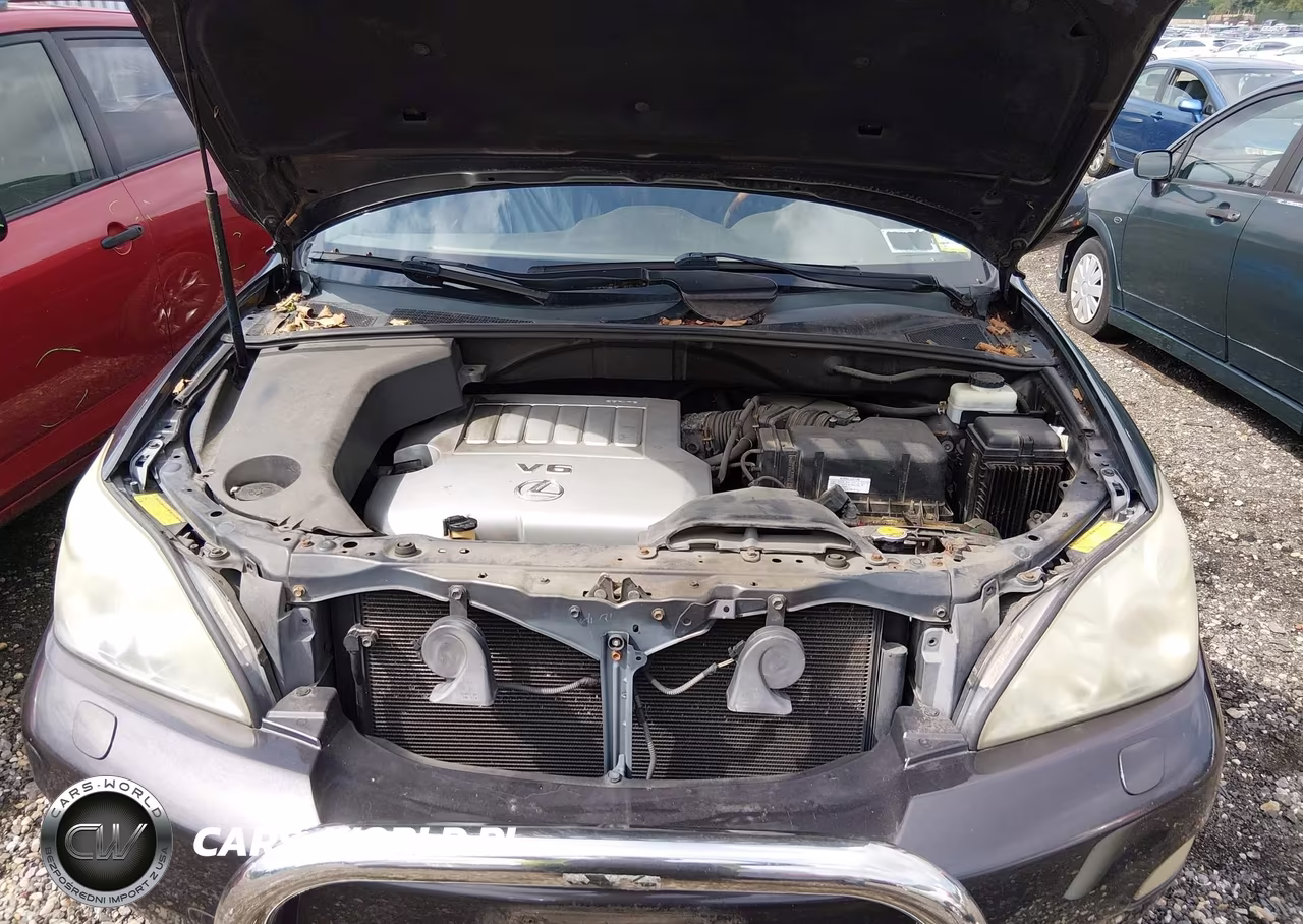 2009 Lexus Rx 350 VIN:2T2HK31UX9C119964 - 10