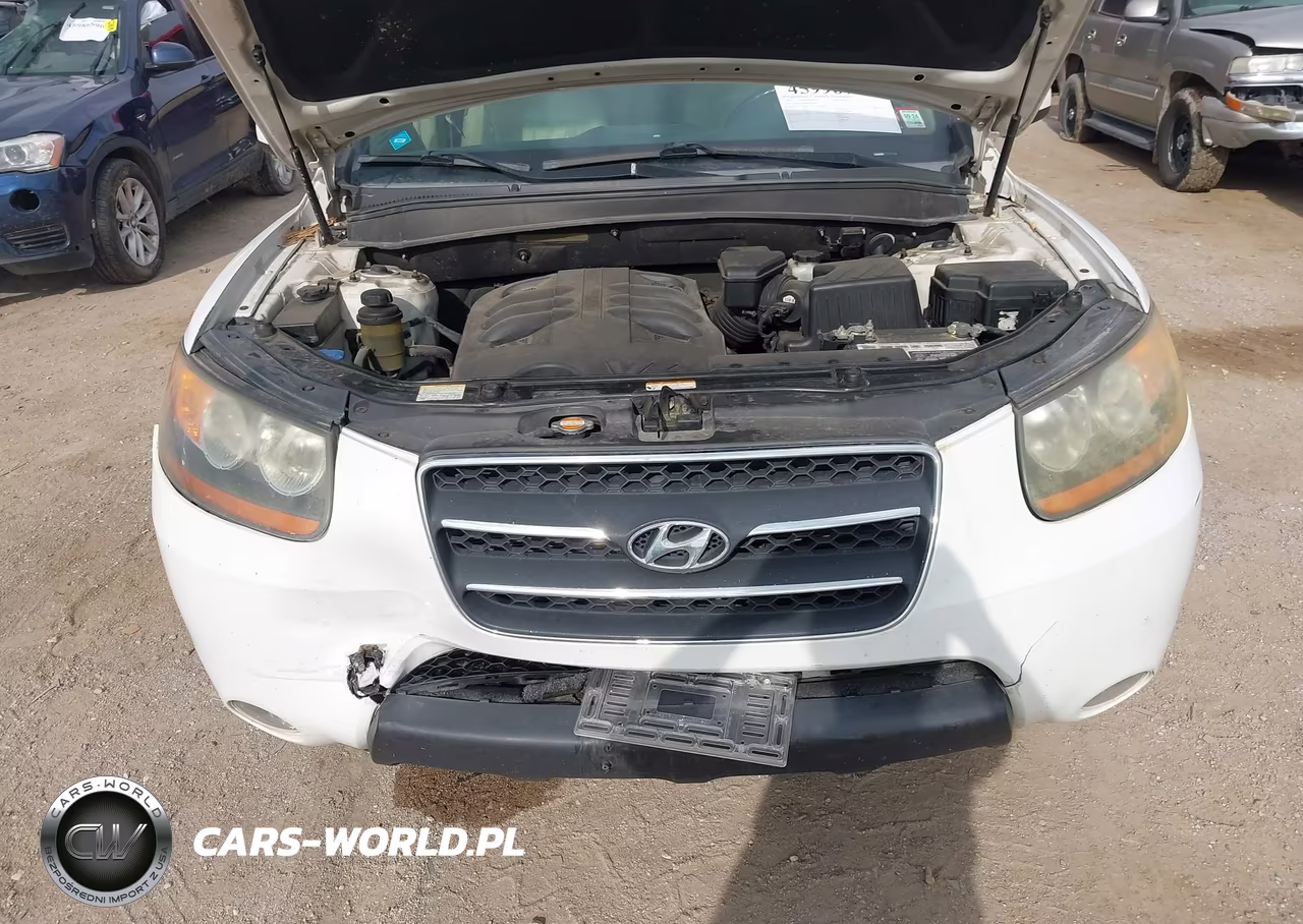 2009 Hyundai Santa Fe Limited VIN:5NMSH73E89H287120 - 10