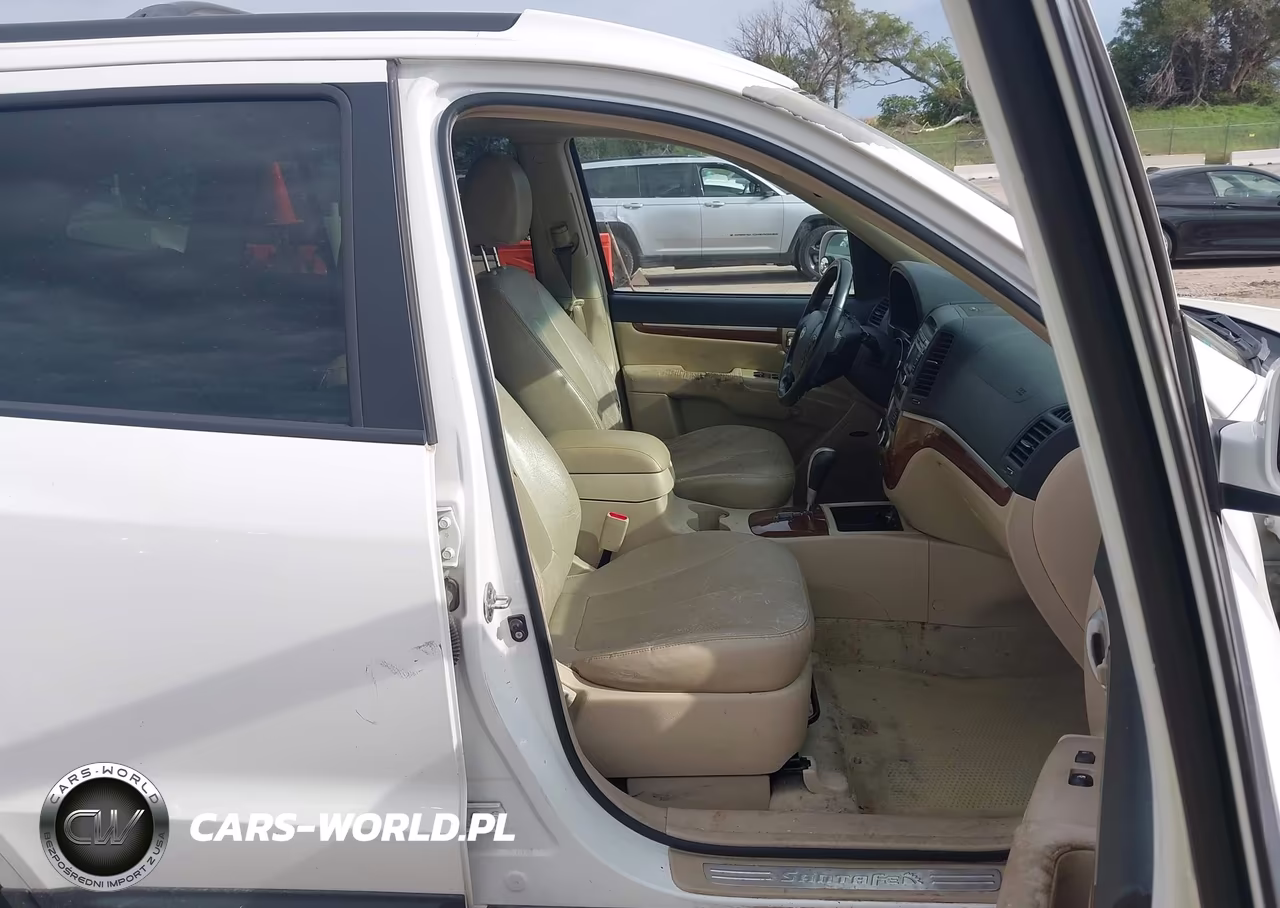 2009 Hyundai Santa Fe Limited VIN:5NMSH73E89H287120 - 5