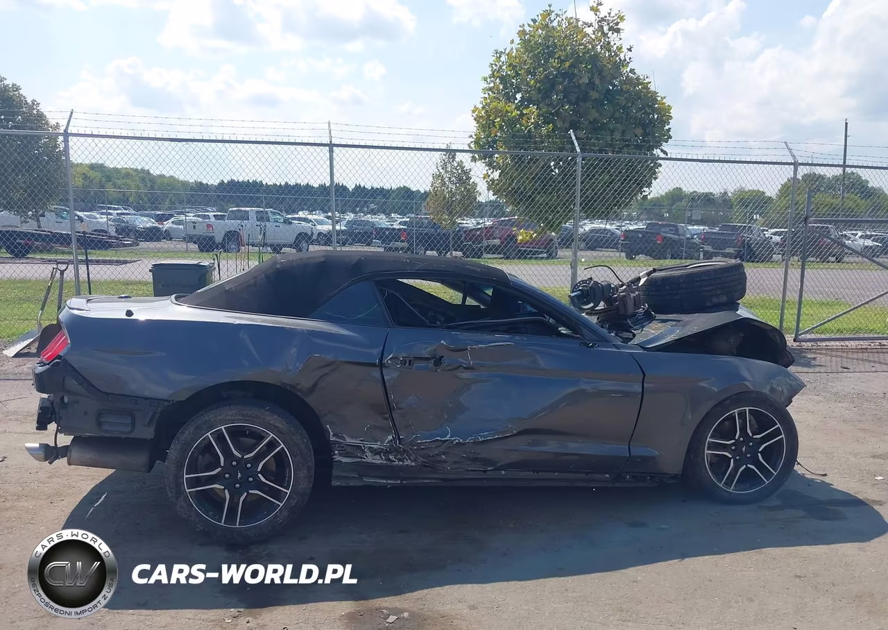 2018 Ford Mustang Ecoboost Premium VIN:1FATP8UH5J5133032 - 13