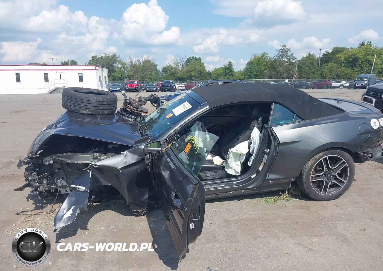 2018 Ford Mustang Ecoboost Premium VIN:1FATP8UH5J5133032 - 14