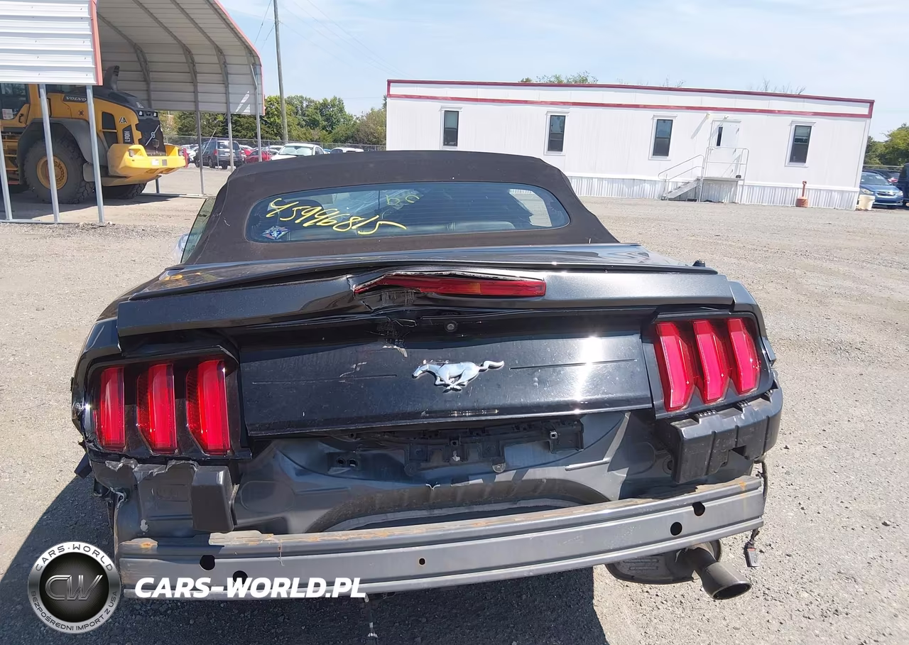 2018 Ford Mustang Ecoboost Premium VIN:1FATP8UH5J5133032 - 16