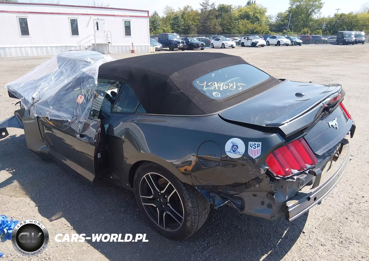 2018 Ford Mustang Ecoboost Premium VIN:1FATP8UH5J5133032 - 3