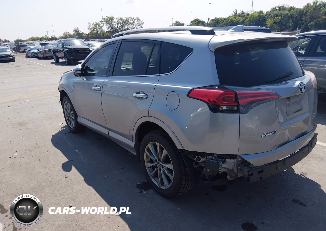 2017 Toyota Rav4 Platinum VIN:2T3DFREV6HW589586 - 3