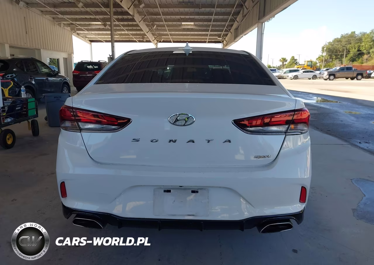 2019 Hyundai Sonata Limited-Sel-Sport VIN:5NPE34AF9KH788757 - 16