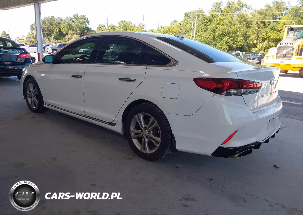 2019 Hyundai Sonata Limited-Sel-Sport VIN:5NPE34AF9KH788757 - 3