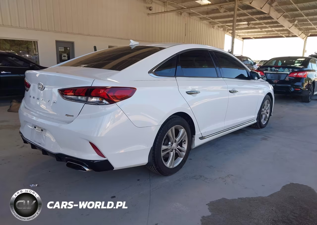 2019 Hyundai Sonata Limited-Sel-Sport VIN:5NPE34AF9KH788757 - 4