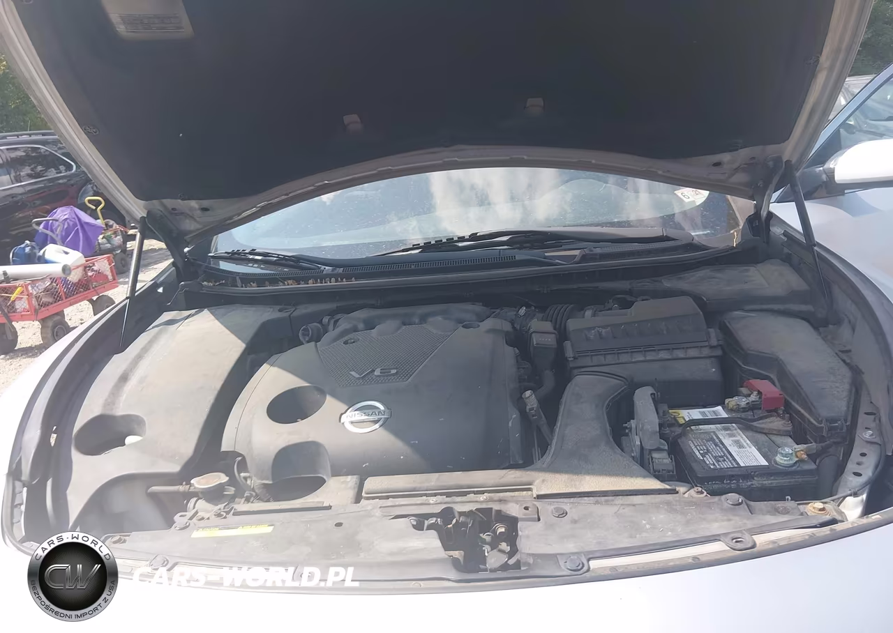 2013 Nissan Maxima 3.5 S VIN:1N4AA5AP5DC817520 - 10