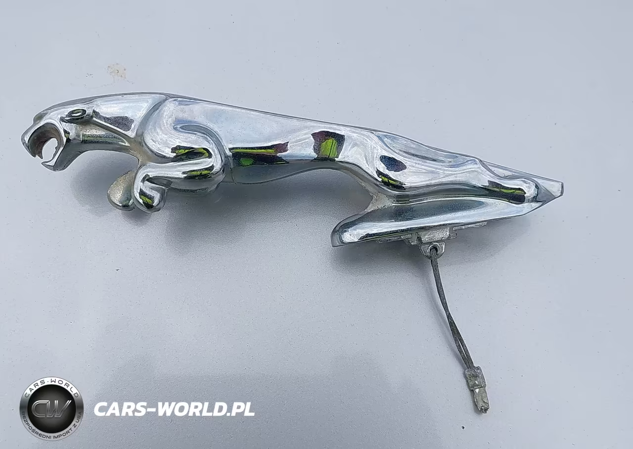 2001 Jaguar Xjr VIN:SAJDA15B21MF36008 - 12