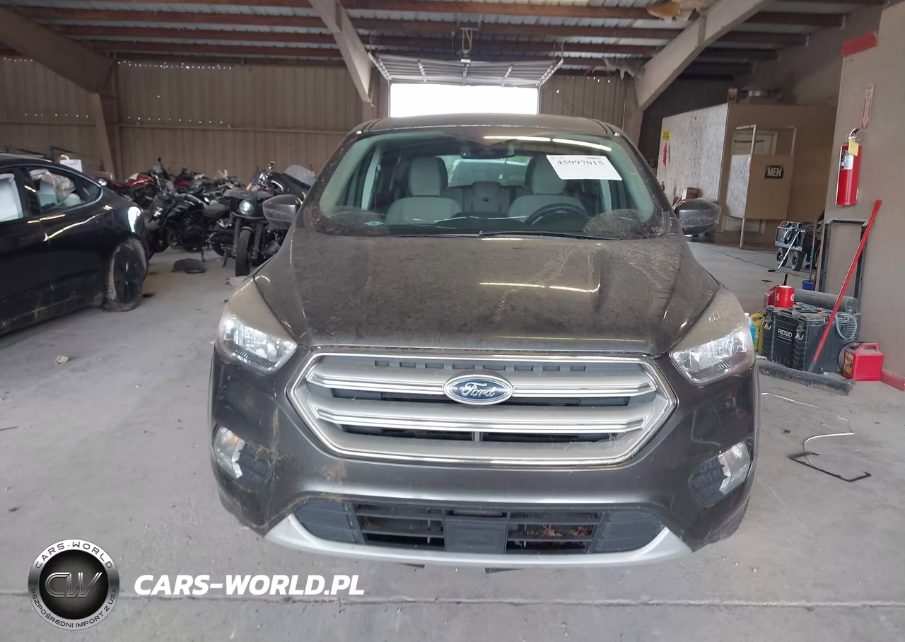 2019 Ford Escape Se VIN:1FMCU0GD7KUA38147 - 12