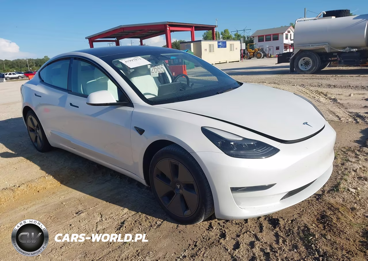 2023 Tesla Model 3 Rear-Wheel Drive