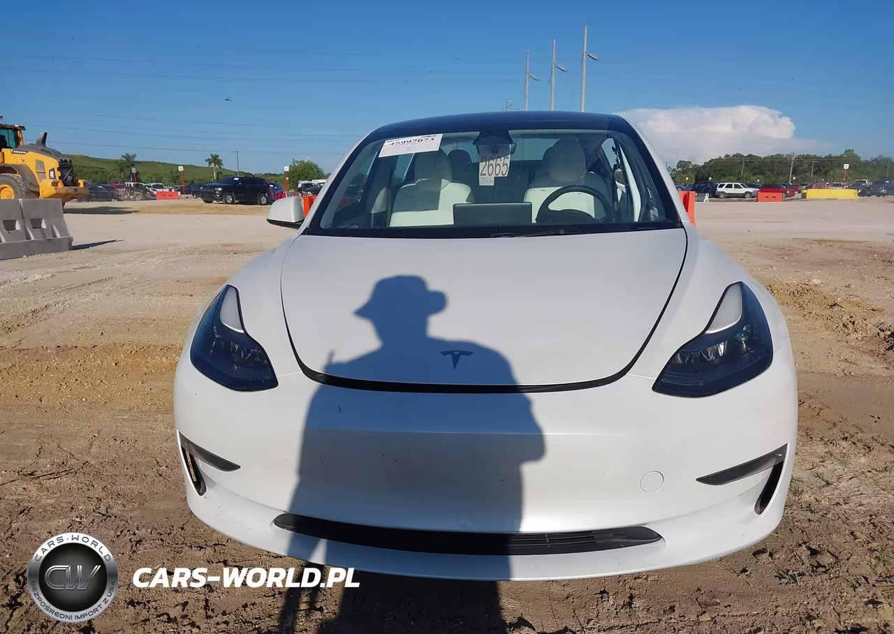 2023 Tesla Model 3 Rear-Wheel Drive VIN:5YJ3E1EA8PF604719 - 12