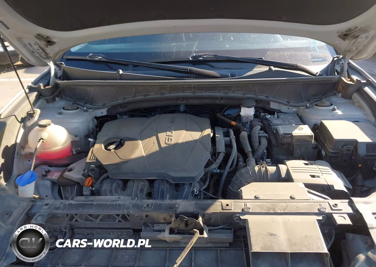 2024 Hyundai Tucson Sel VIN:5NMJBCDEXRH295563 - 10