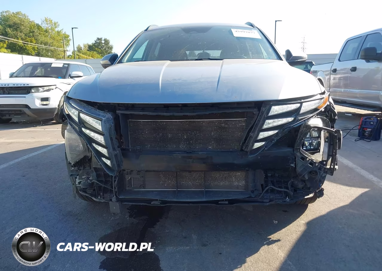 2024 Hyundai Tucson Sel VIN:5NMJBCDEXRH295563 - 12