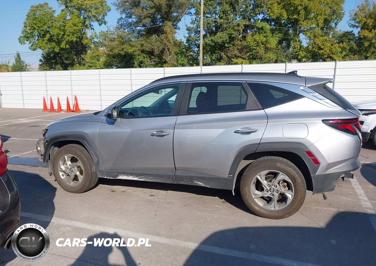 2024 Hyundai Tucson Sel VIN:5NMJBCDEXRH295563 - 14