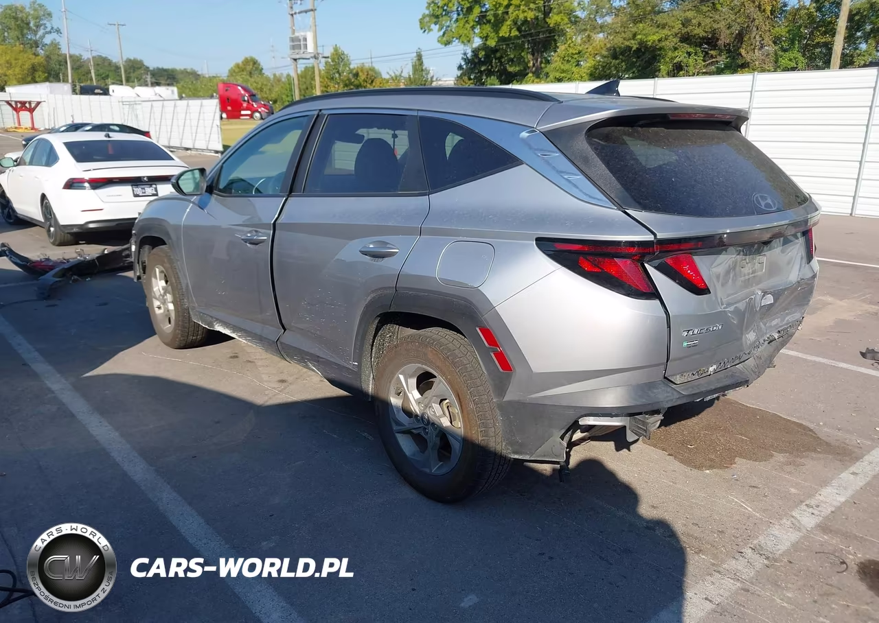 2024 Hyundai Tucson Sel VIN:5NMJBCDEXRH295563 - 3