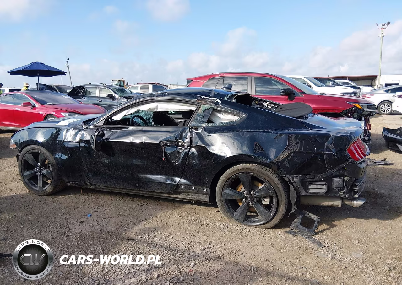 2022 Ford Mustang Ecoboost Fastback VIN:1FA6P8TH2N5130478 - 15