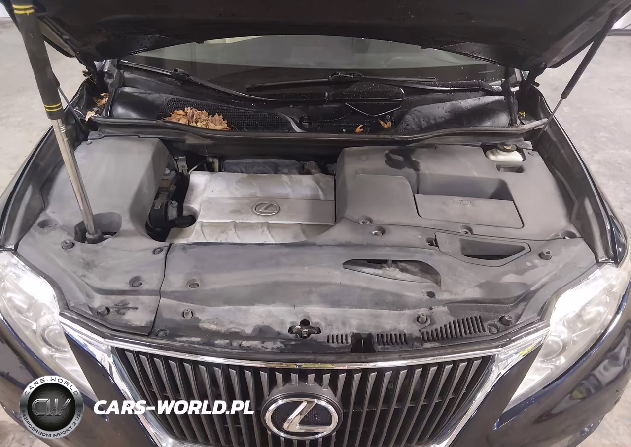 2010 Lexus Rx 350 VIN:2T2BK1BA3AC024679 - 10